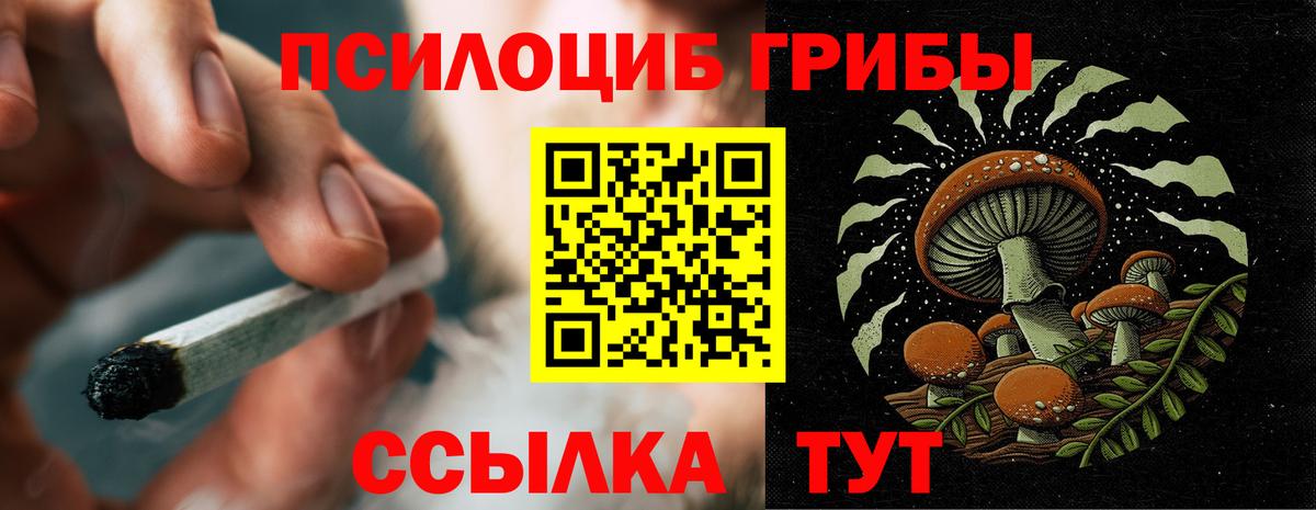 Дивногорск  Галлюциногенные грибы Cubensis  Вход с VPN 