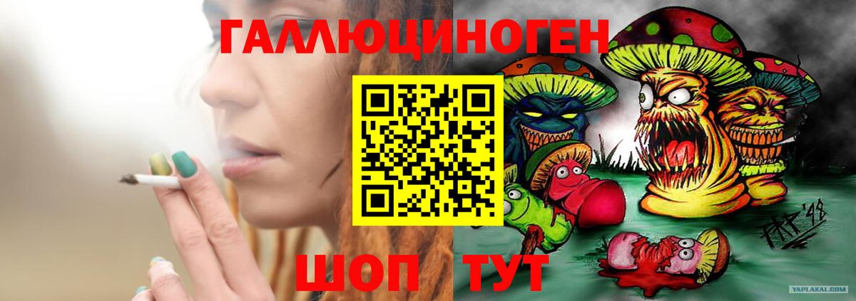 Псилоцибиновые грибы GOLDEN TEACHER Дивногорск